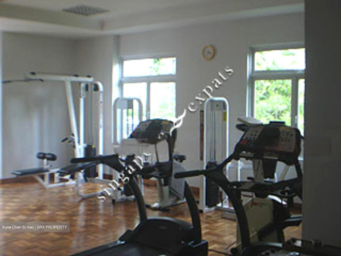 Cavendish Park (D21), Condominium #465443131
